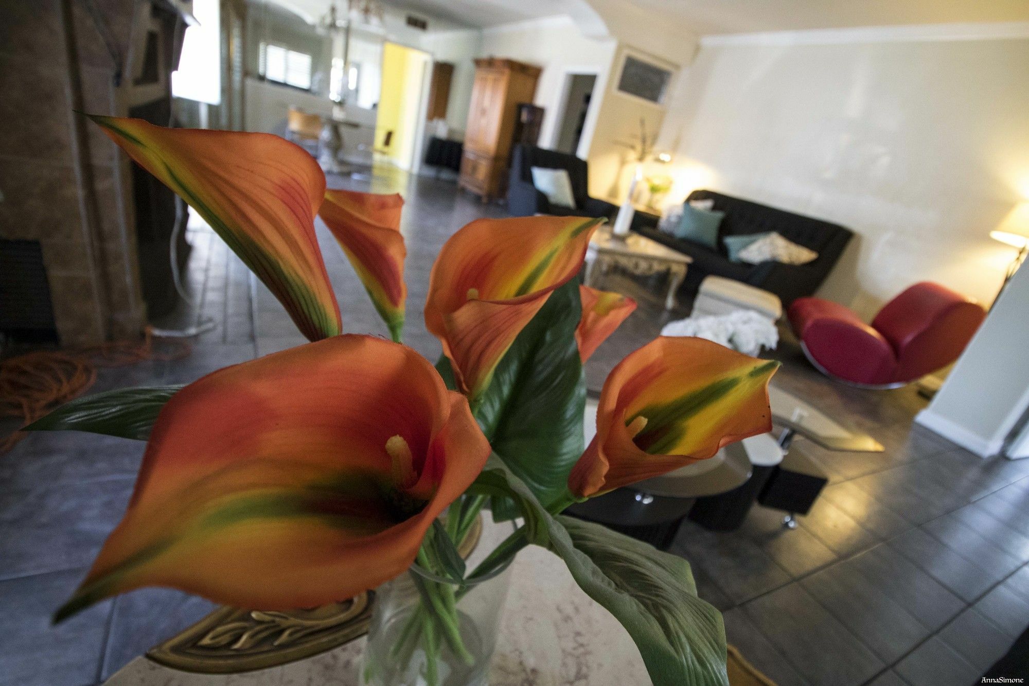 Auberge de jeunesse The Anderson Estates *